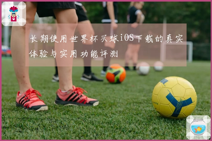 长期使用世界杯买球iOS下载的真实体验与实用功能评测