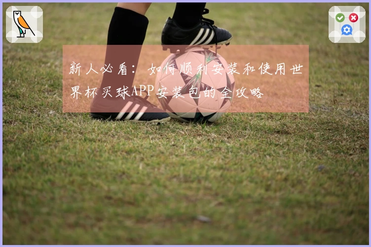 新人必看：如何顺利安装和使用世界杯买球APP安装包的全攻略