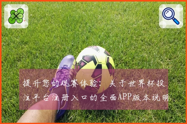 提升您的观赛体验：关于世界杯投注平台注册入口的全面APP版本说明