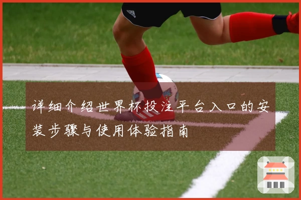 详细介绍世界杯投注平台入口的安装步骤与使用体验指南