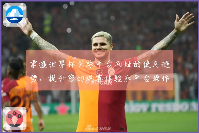 掌握世界杯买球平台网址的使用趋势,提升您的观赛体验和平台操作效率