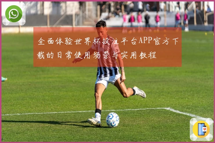 全面体验世界杯投注平台APP官方下载的日常使用场景与实用教程