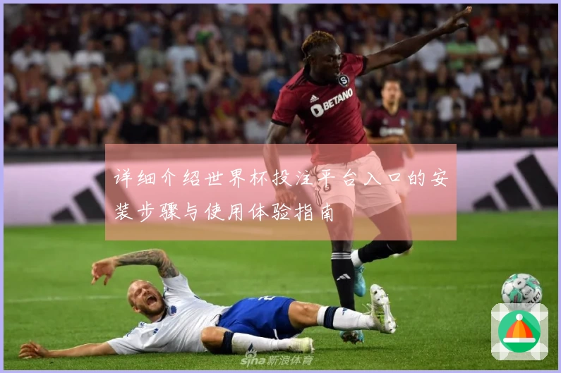 详细介绍世界杯投注平台入口的安装步骤与使用体验指南